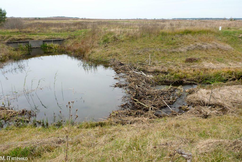 Бабка з panoramio.com - Бабка