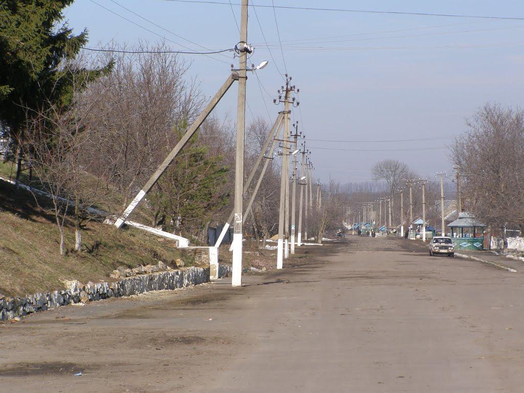 Лісниче з panoramio.com - Лісниче