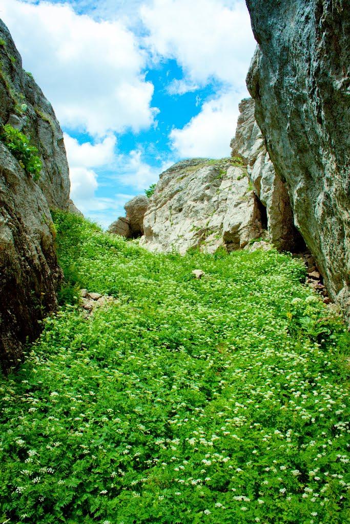 Совєтське з panoramio.com (ч.2) - Советское