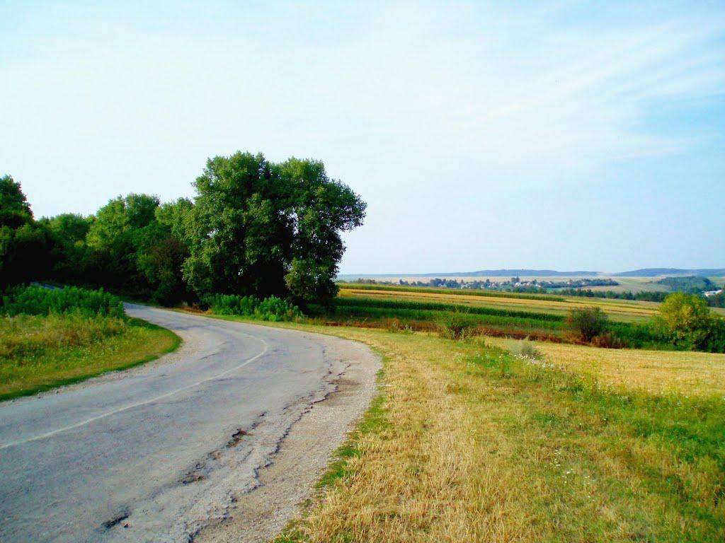 Малі Бірки з panoramio.com - Малі Бірки