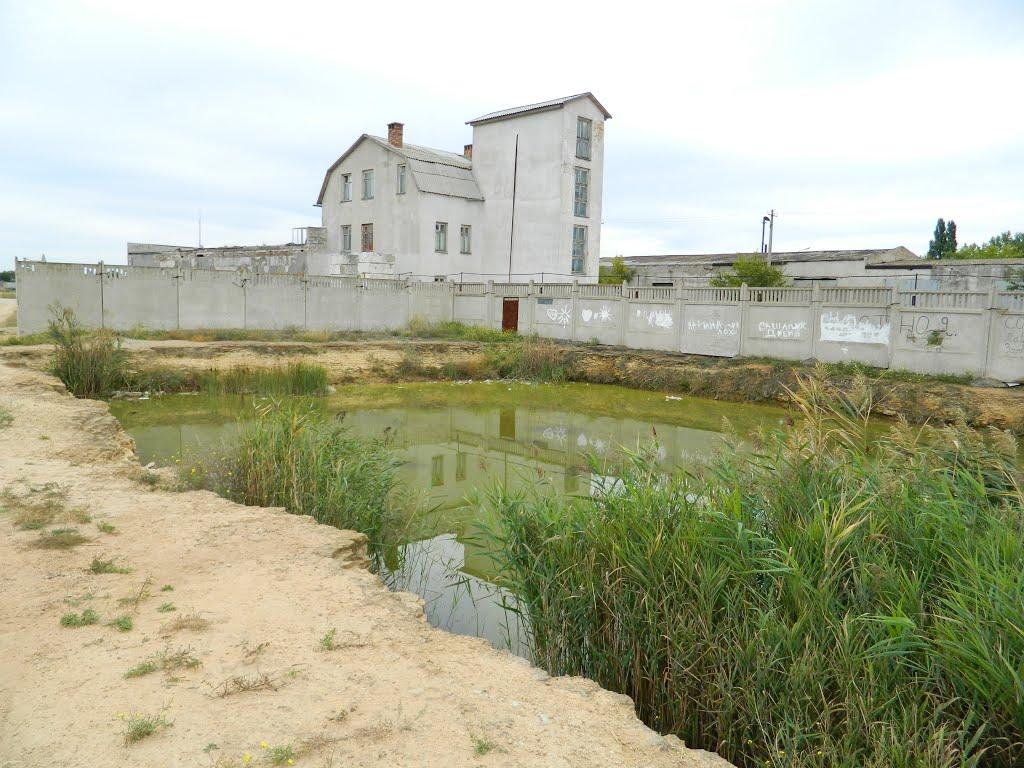 Заозерне з panoramio.com - Заозерне