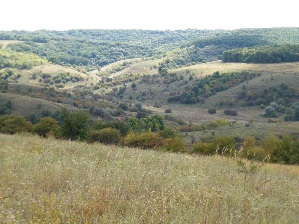 Підгірне з panoramio.com - Підгірне