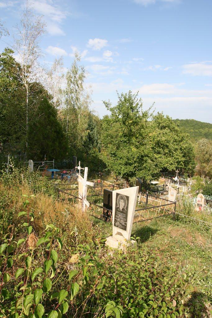 Научний з panoramio.com - Научний