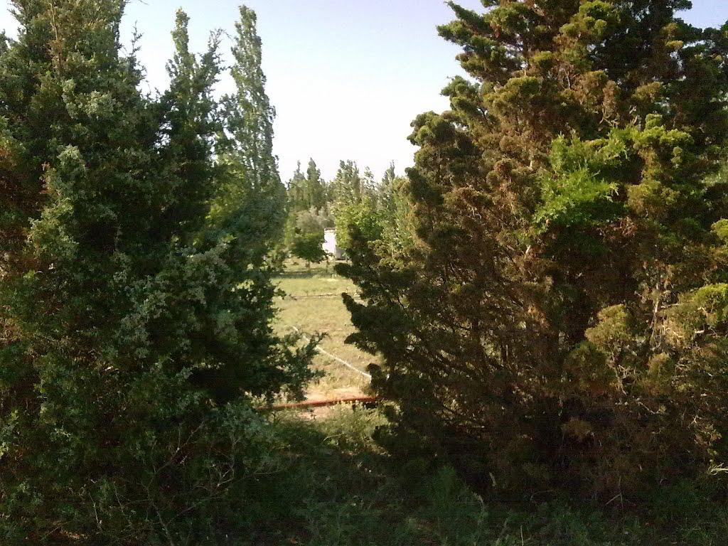 Стрілкове з panoramio.com (ч.2) - Стрелковое