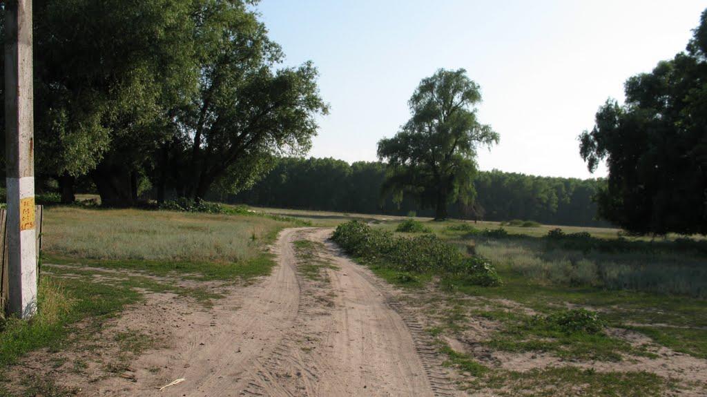 Макошине з panoramio.com - Макошино