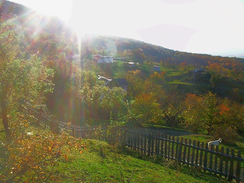 Нагірне з panoramio.com - Нагорное