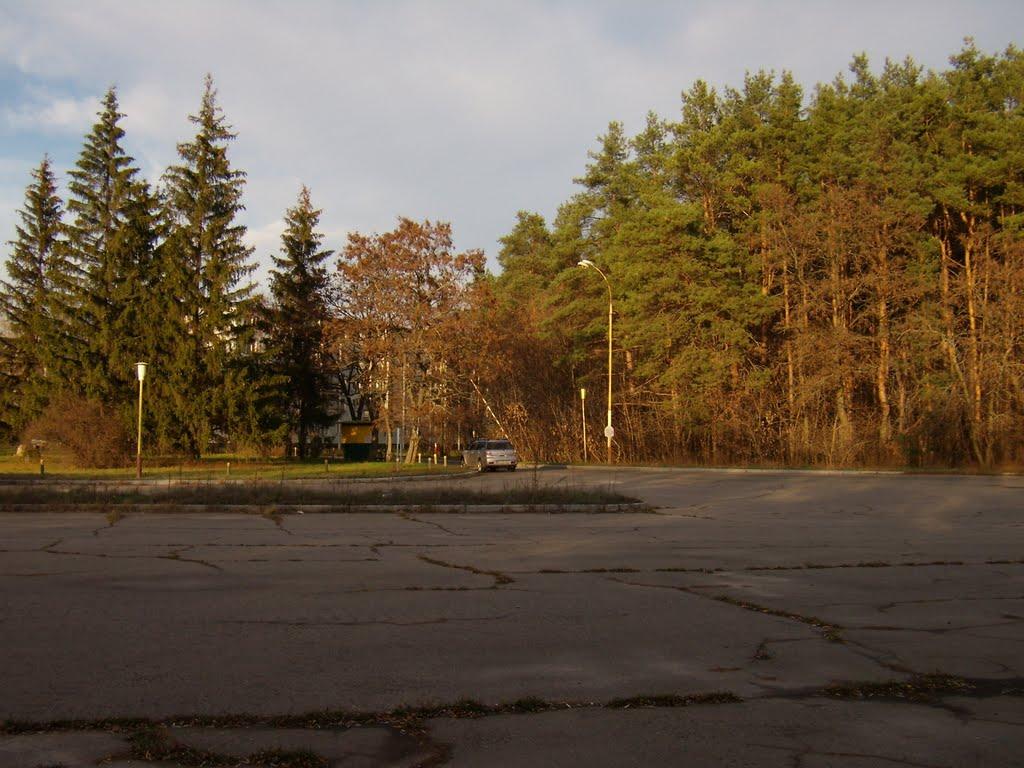 Старий Салтів з panoramio.com - Старый Салтов