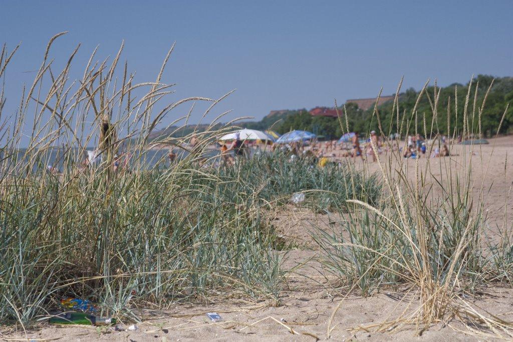 Іллічівське з panoramio.com - Іллічівське