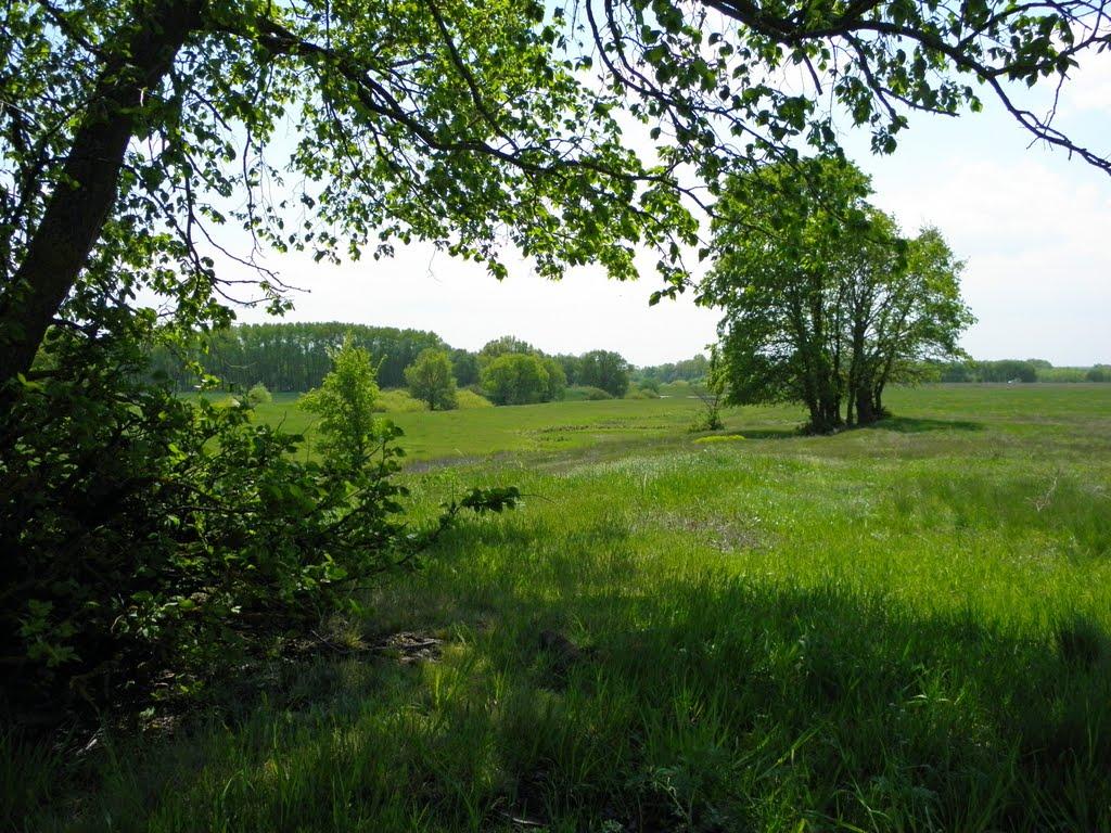 Киселівка з panoramio.com - Киселівка