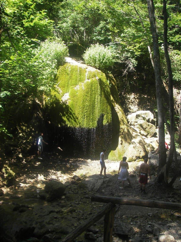 Соколине з panoramio.com (ч.2) - Соколиное