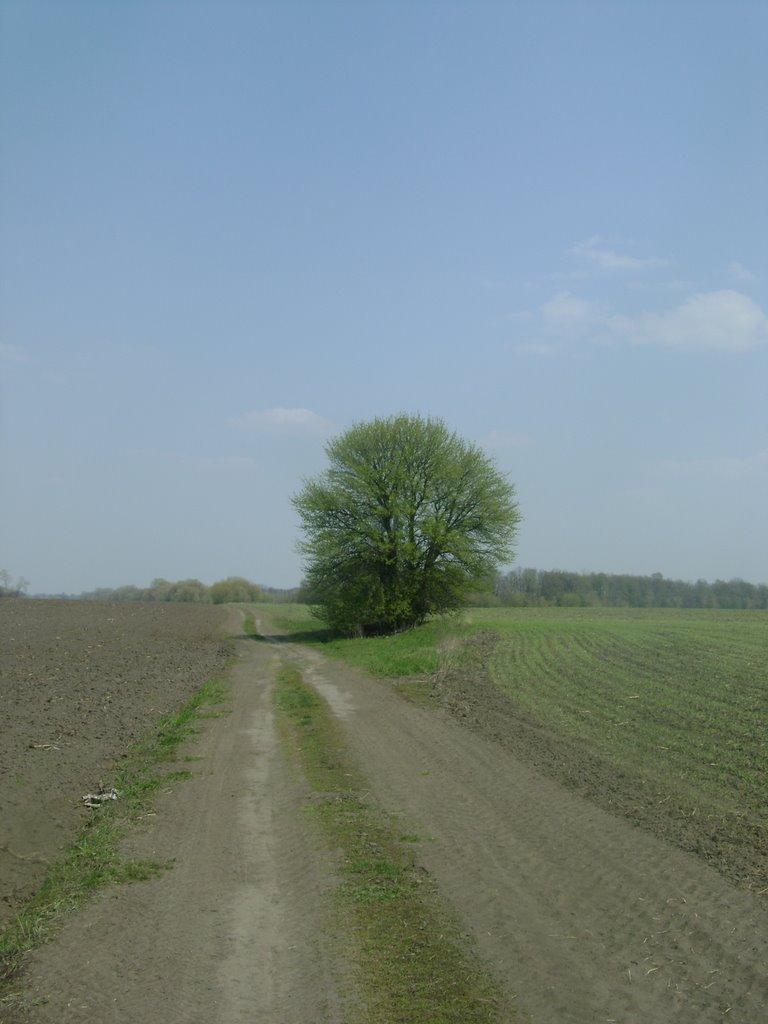 Жуківка з panoramio.com - Жуківка