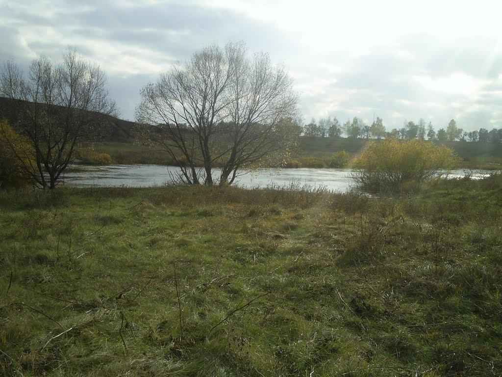 Русалівка з panoramio.com - Русалівка