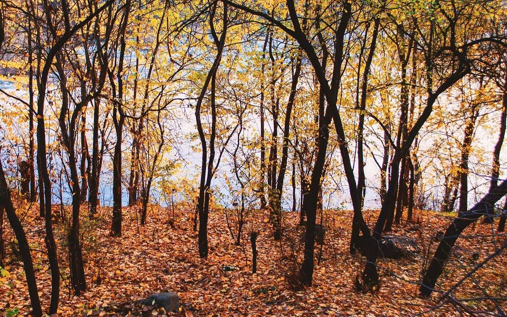 Мигія з panoramio.com - Mygiya