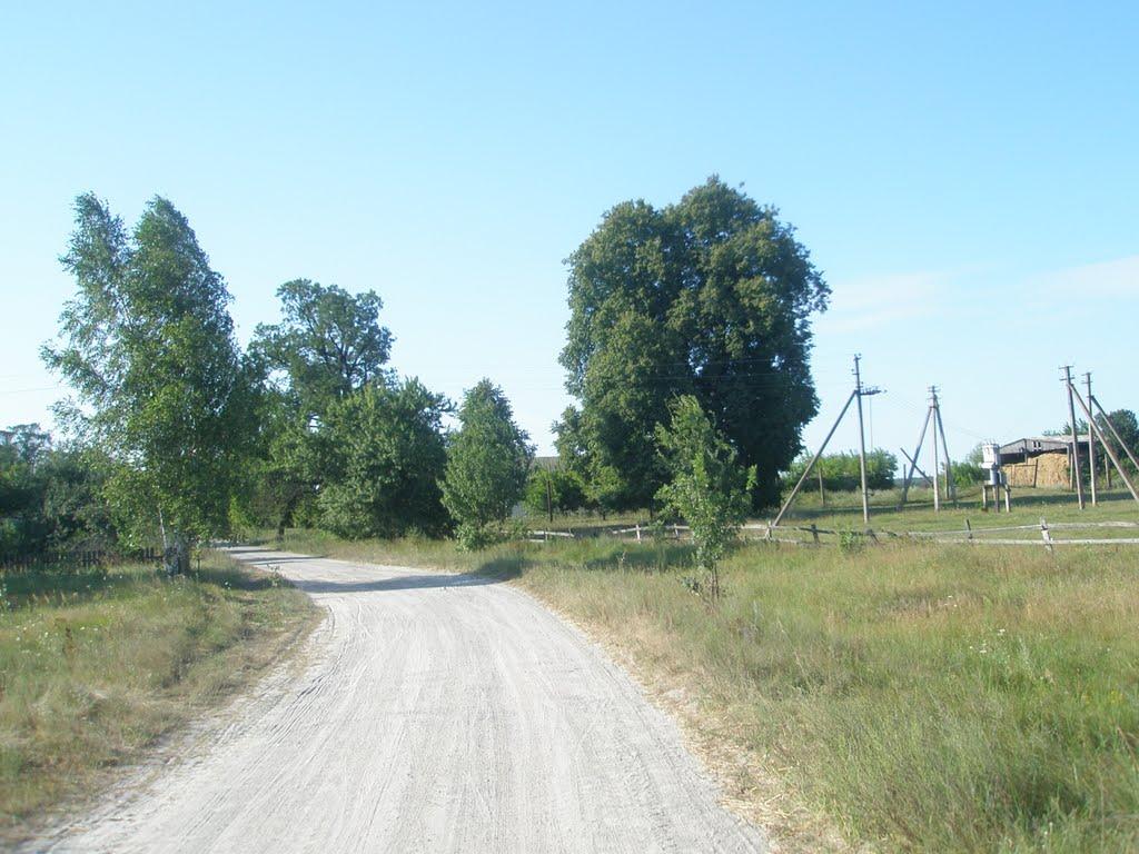 Ушиця з panoramio.com - Ушица