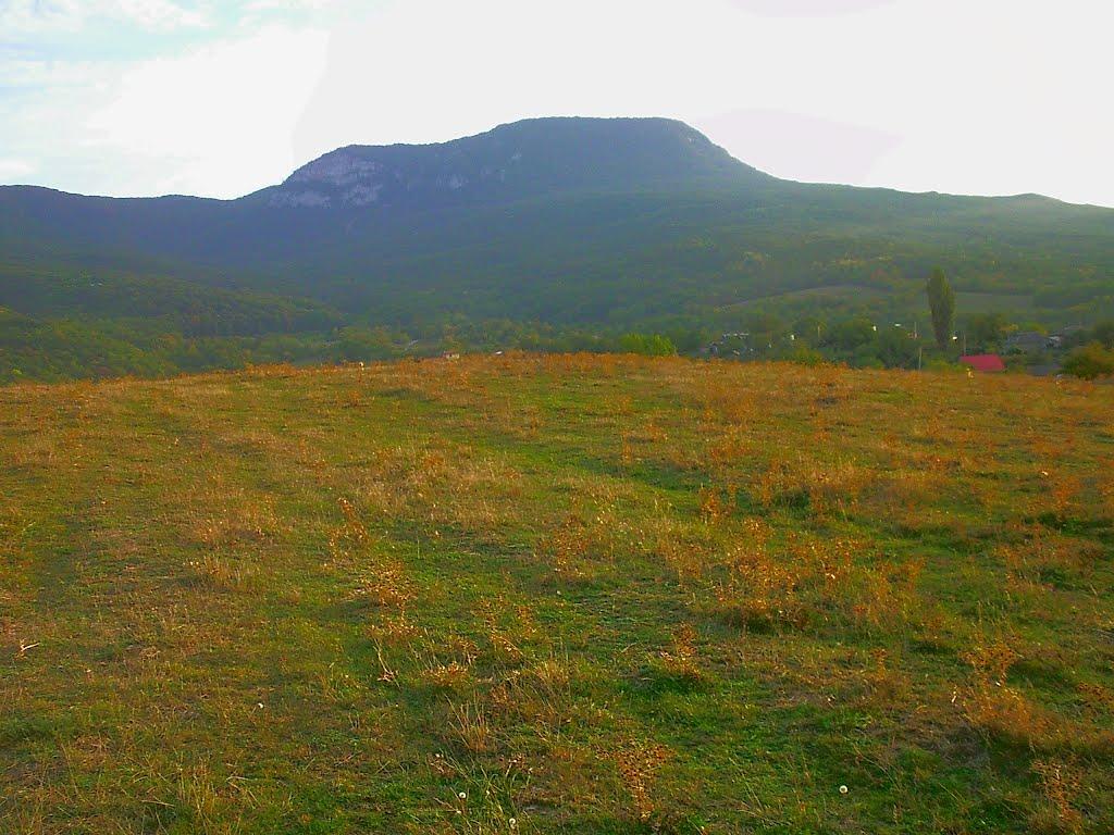 Богатир з panoramio.com - Богатир