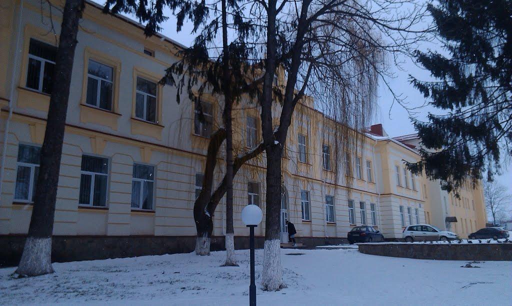 Кострижівка з panoramio.com - Кострижівка