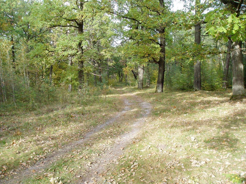 Ігнатпіль з panoramio.com - Ігнатпіль