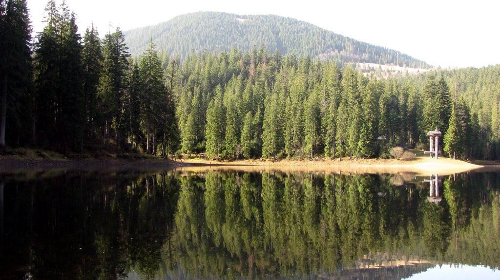 Синевирська Поляна з panoramio.com - Синевирская Поляна