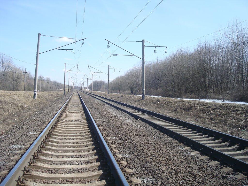 Коричинці з panoramio.com - Коричинці