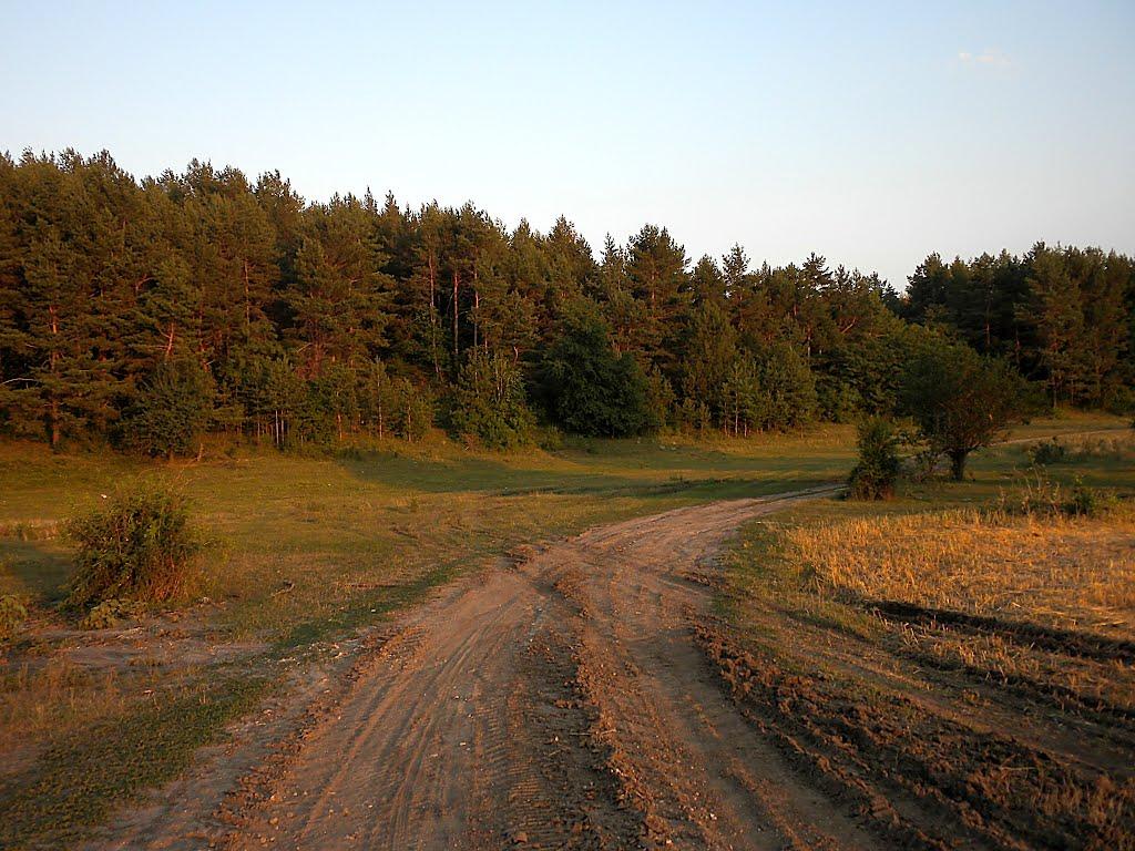 Городківка з panoramio.com - Городківка