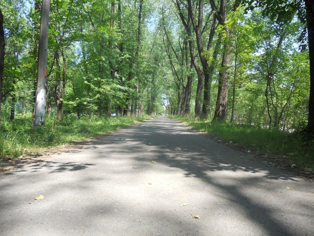Новий Розділ з panoramio.com - Новый Роздол