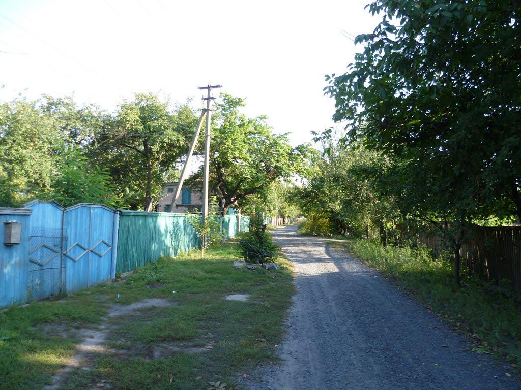 Гоголеве з panoramio.com - Гоголеве