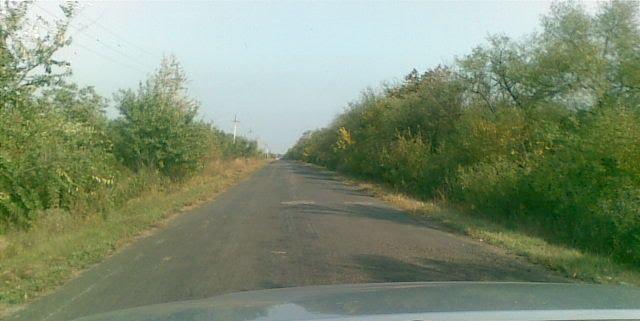 Комінтернівське з panoramio.com - Комінтернівське