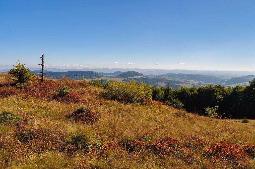 Гусний з panoramio.com - Гусний