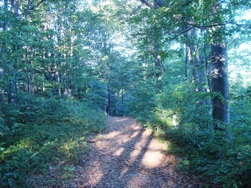 Красна з panoramio.com - Красна