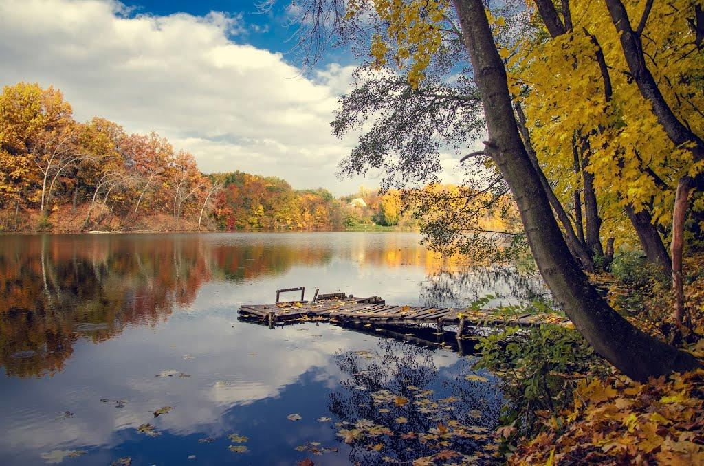 Сковородинівка з panoramio.com - Сковородинівка