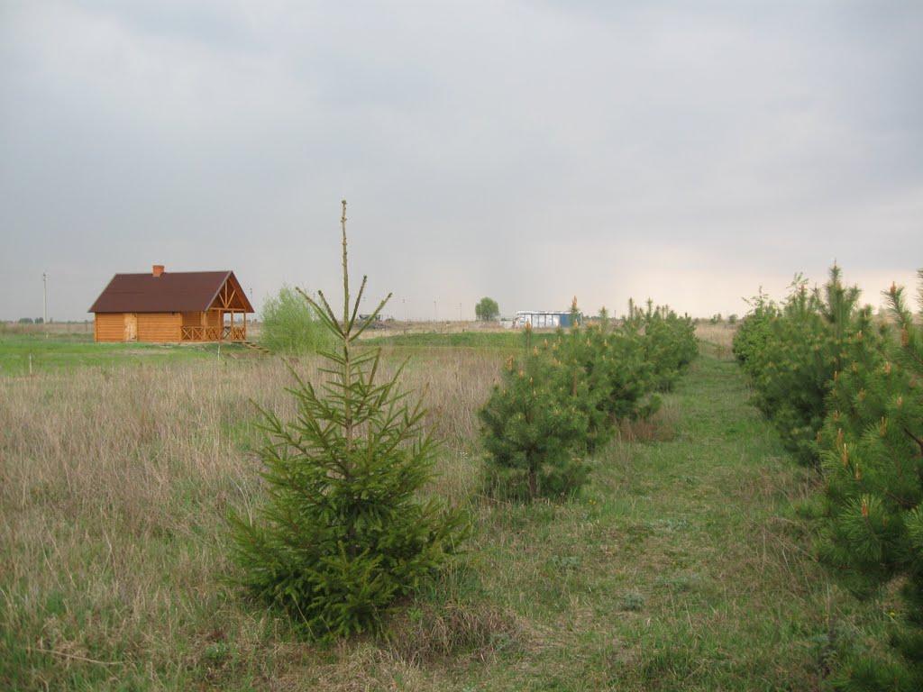 Мотижин з panoramio.com - Мотижин