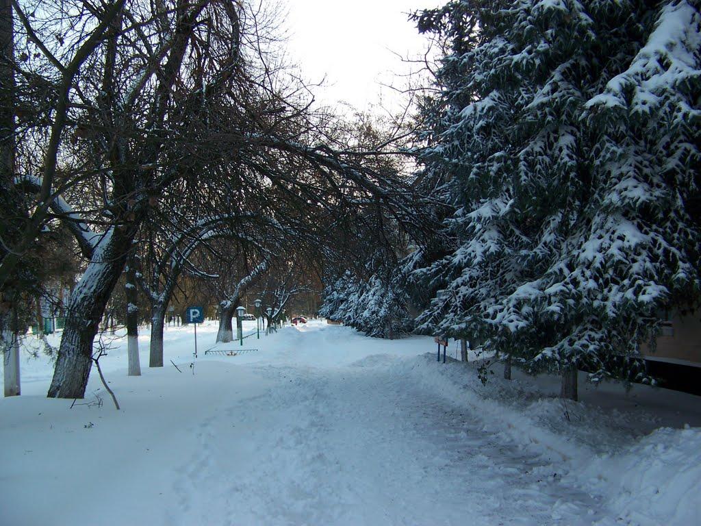 Кілія з panoramio.com (ч.2) - Килия
