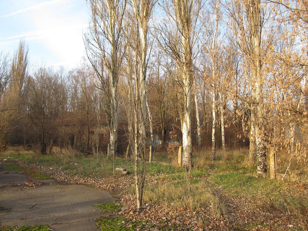 Інгулець з panoramio.com - Інгулець