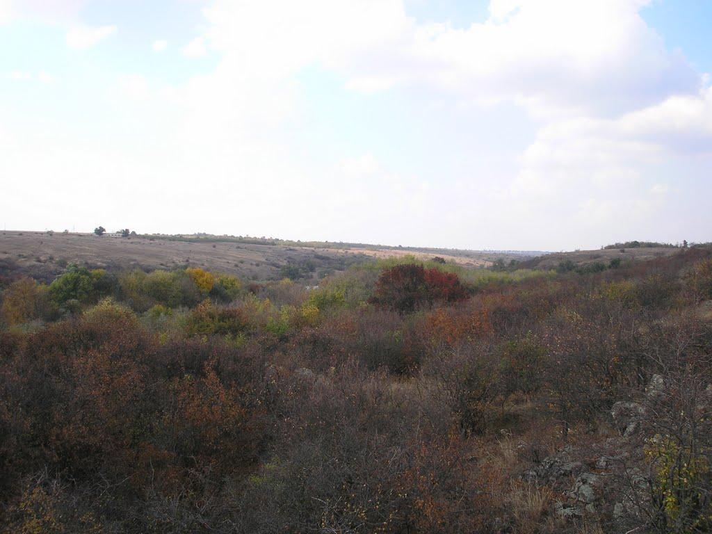 Інгульське з panoramio.com - Інгульське