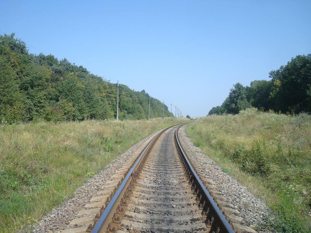 Тарасівка з panoramio.com - Тарасівка