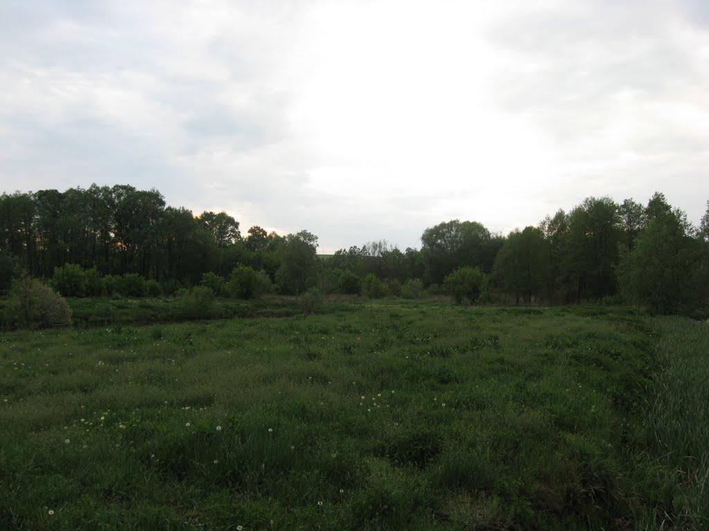 Тимченки з panoramio.com - Тимченки