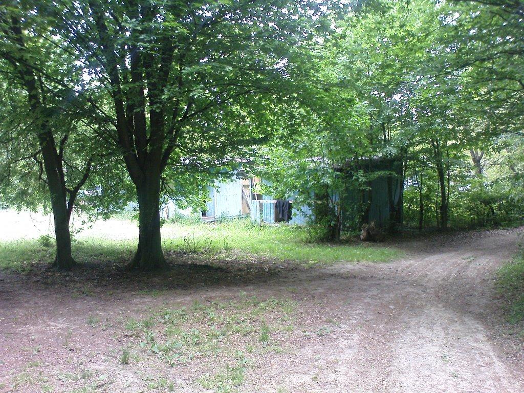 Гринячка з panoramio.com - Гринячка