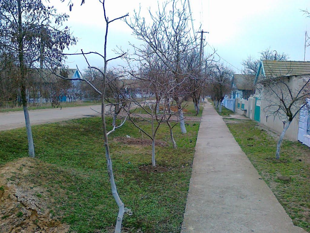 Фурманівка з panoramio.com - Фурманівка