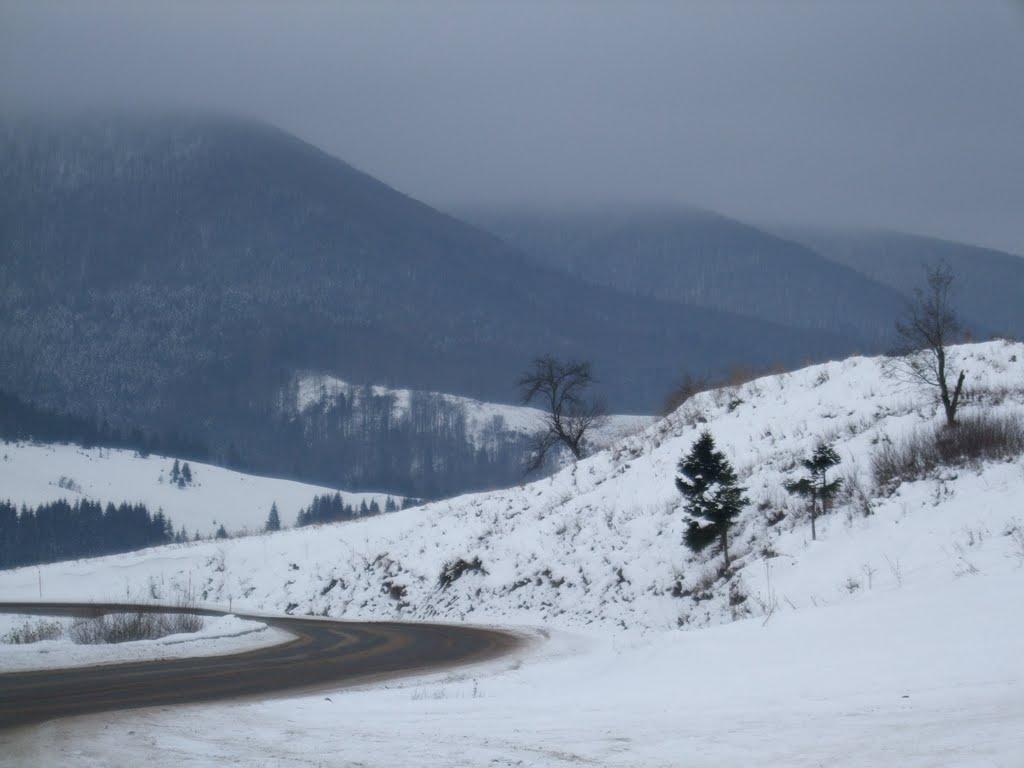 Воловець з panoramio.com - Volovets