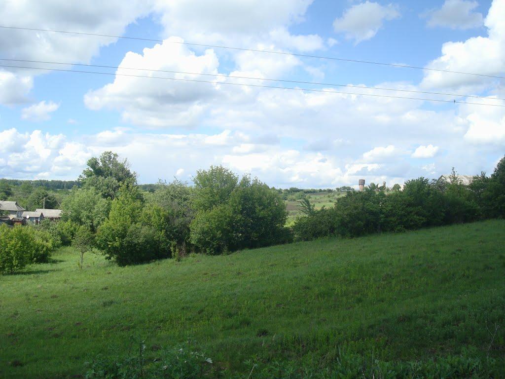 Нове Село з panoramio.com - Нове Село