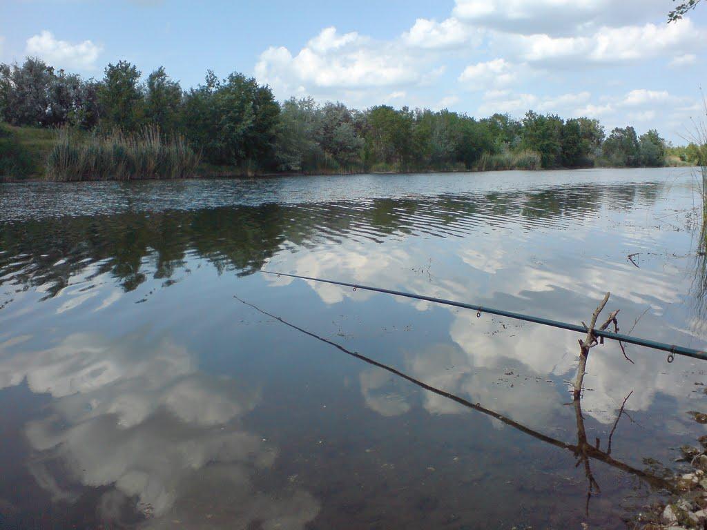 Могилів з panoramio.com