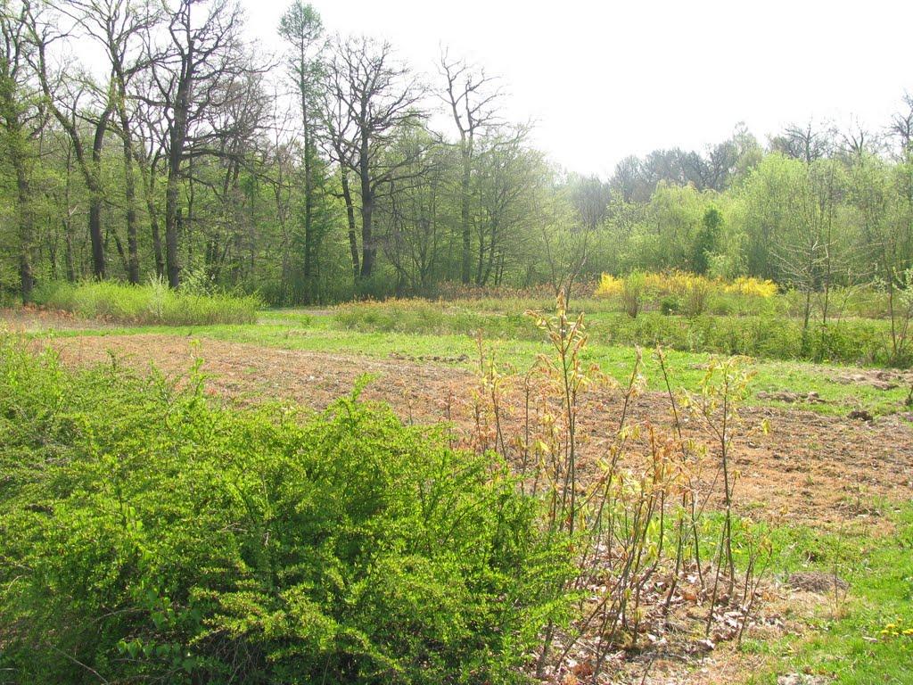 Рудки з panoramio.com - Рудки