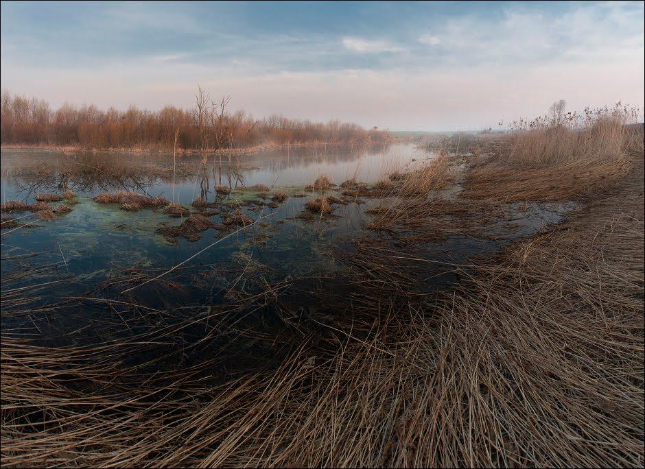 Бальківці з panoramio.com - Бальківці