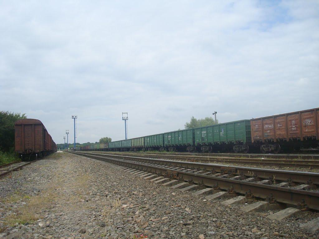 Гуменці з panoramio.com - Гуменці