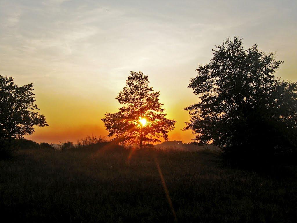 Лутівка з panoramio.com - Lutivka