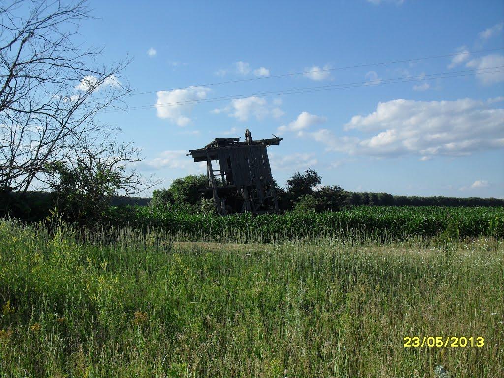 Болотниця з panoramio.com - Болотниця