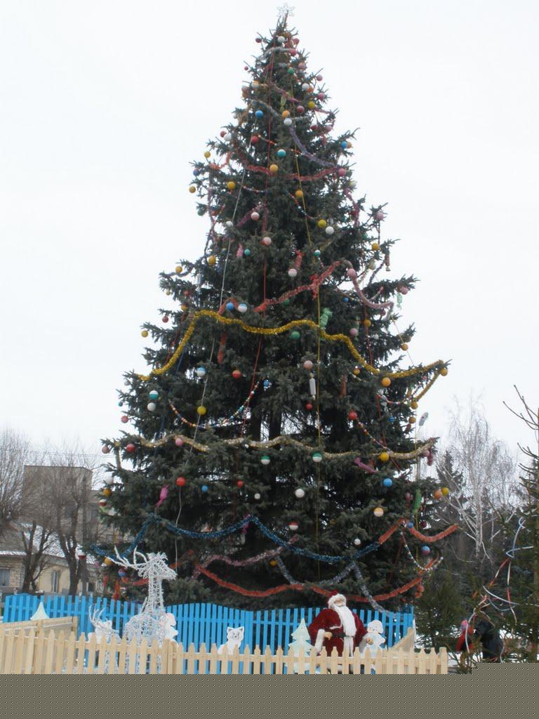 Мізоч з panoramio.com