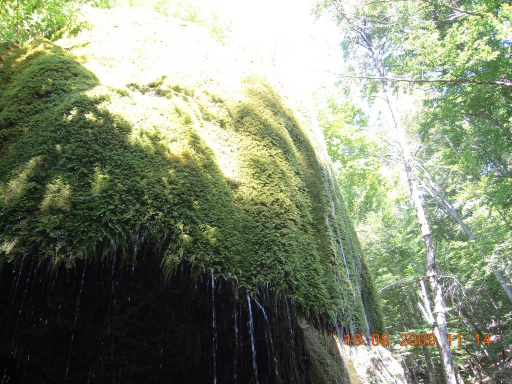 Соколине з panoramio.com (ч.2) - Соколиное