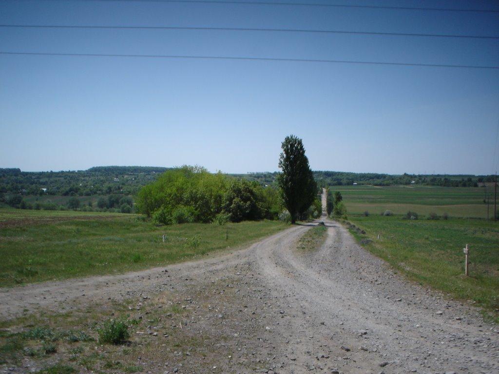 Василівка з panoramio.com - Василівка