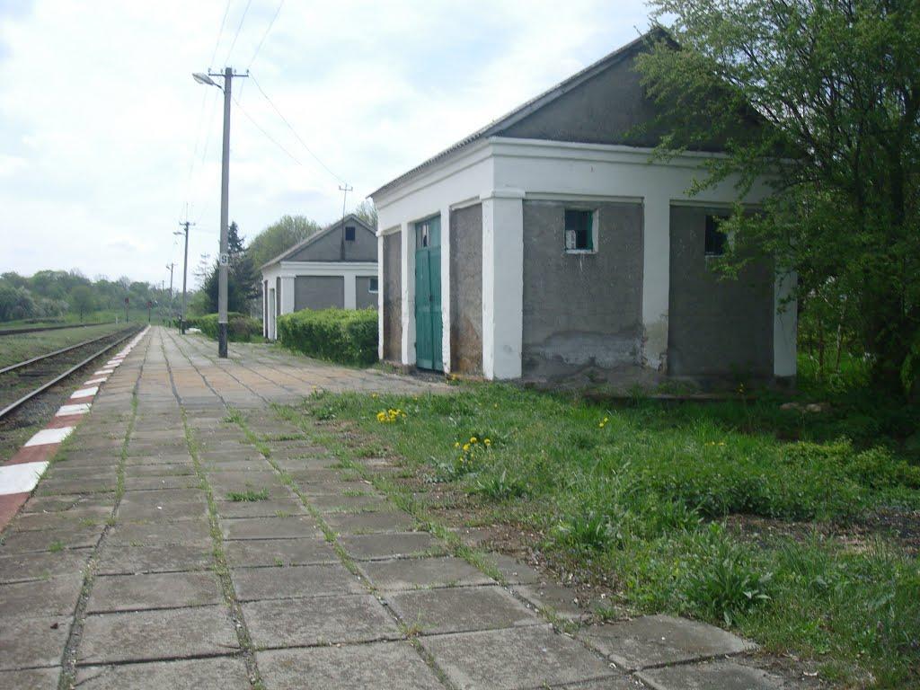 Великі Пузирки з panoramio.com - Великі Пузирки